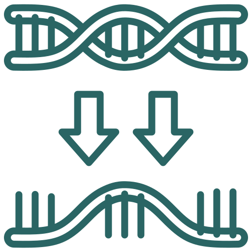RNA Sequencing Certificate