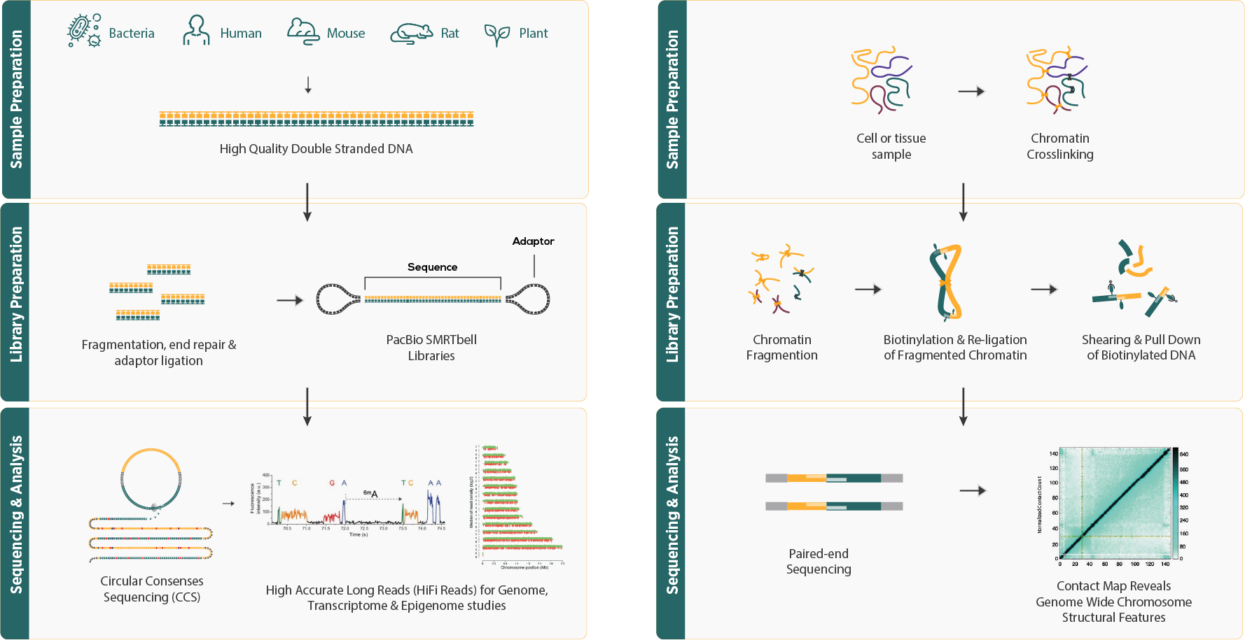 Sample Process Steps