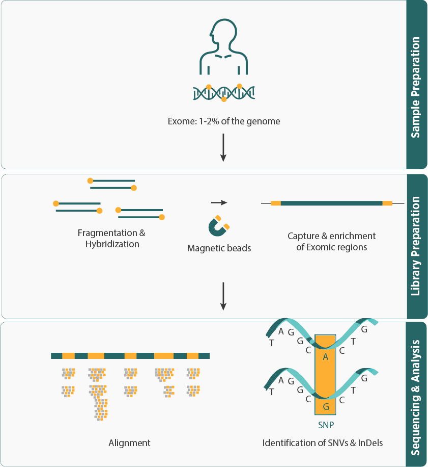 Targeted Sequencing Overview