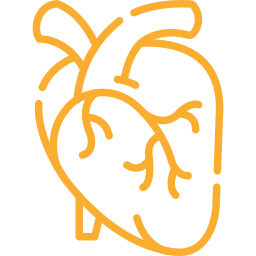 Cardiovascular