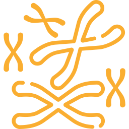 Chromosomal Assessment