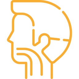 Ear, Nose, and Throat