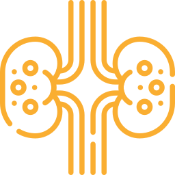 Nephrology