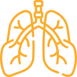 Pneumology